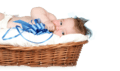 Progency Report
